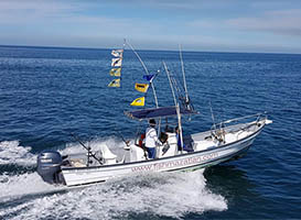 GO GET'EM with Bibi Fleet! Sportfishing in Mazatlan, Mexico since 1946!!!